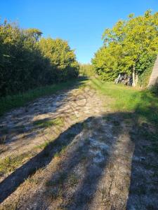 Acheter Terrain Vincelles 58000 euros