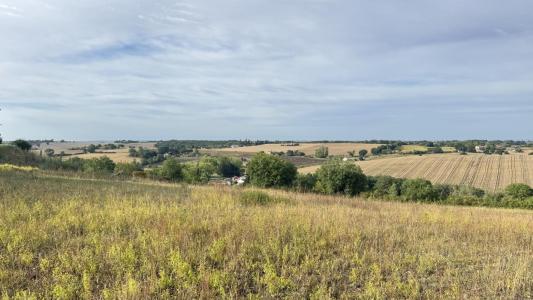 Annonce Vente Terrain Montjoire 31