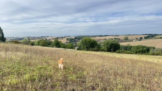 Acheter Maison 100 m2 Montjoire