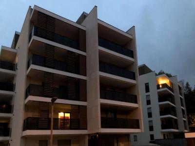 Louer Appartement Lyon-9eme-arrondissement 785 euros