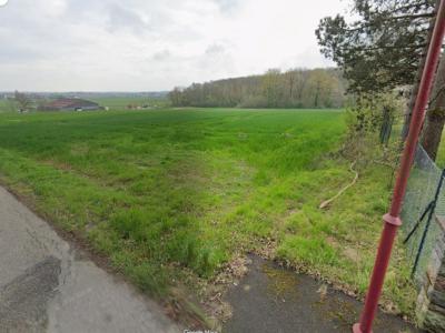 Annonce Vente Maison Michelbach 68