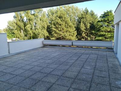 For rent Villeneuve-d'ascq 5 rooms 120 m2 Nord (59491) photo 4