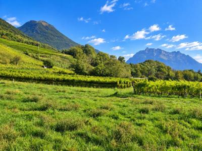 For sale Arbin 4 rooms 92 m2 Savoie (73800) photo 1