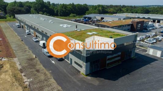 Annonce Location Commerce Salleboeuf 33