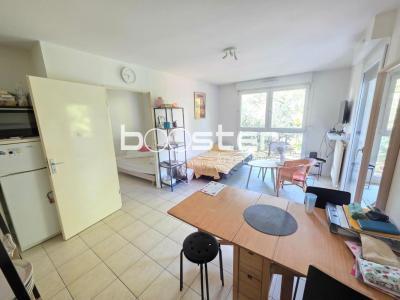 Annonce Vente 2 pi�ces Appartement Toulouse 31