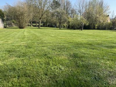 Annonce Vente Terrain Souchez 62