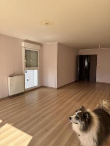 Acheter Appartement Nancy Meurthe et moselle