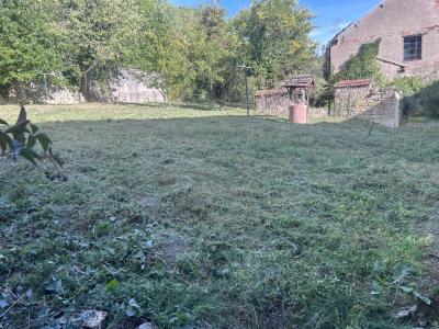 Annonce Location 3 pi�ces Appartement Cirey-sur-vezouze 54