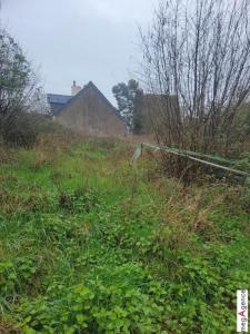 Annonce Vente Terrain Avesse 72