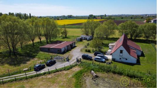 Annonce Vente 6 pi�ces Maison Borre 59
