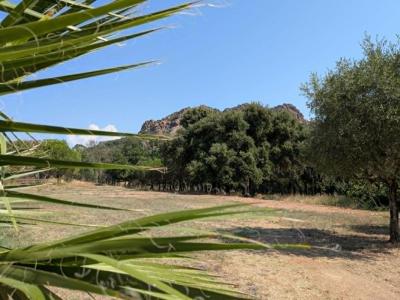 Acheter Maison 160 m2 Roquebrune-sur-argens
