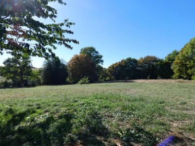 Acheter Maison Saint-mesmin 249900 euros