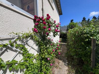 Annonce Location 3 pi�ces Maison Blois 41