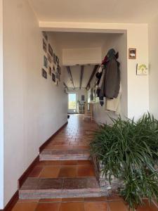 Annonce Vente 4 pi�ces Maison Landreau 44