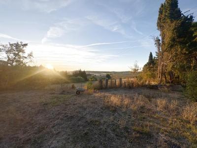 For sale Ferran 936 m2 Aude (11240) photo 2
