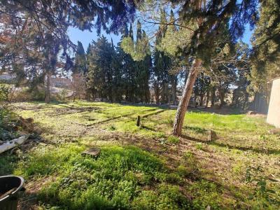 For sale Ferran 936 m2 Aude (11240) photo 3