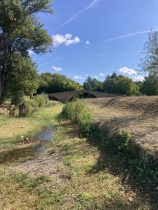 Annonce Vente 8 pi�ces Maison Serres 11