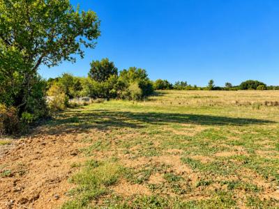 Acheter Terrain 2959 m2 Labourgade