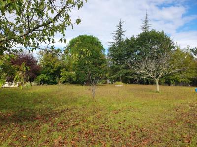 For sale Tresses 1000 m2 Gironde (33370) photo 0