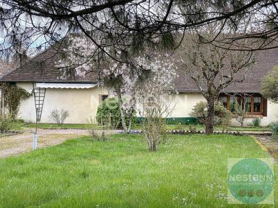 Annonce Vente 5 pi�ces Maison Cheverny 41