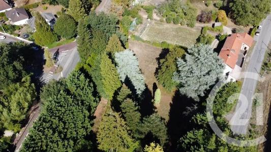 For sale Limoges 3701 m2 Haute vienne (87100) photo 4