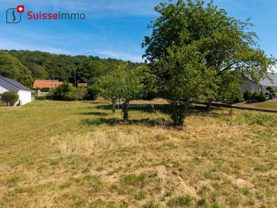 Acheter Terrain 2425 m2 Anteuil