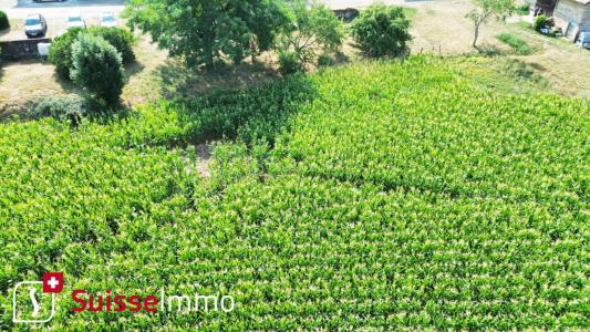 Acheter Terrain 2158 m2 Bournois