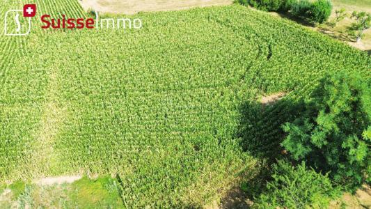 Annonce Vente Terrain Bournois 25