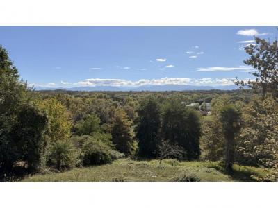 Acheter Terrain Bizanos 297000 euros