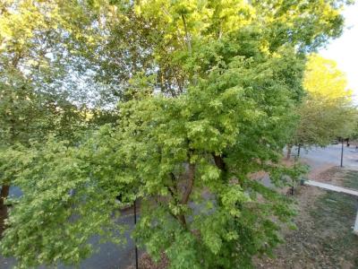 Louer Appartement 64 m2 Beaune