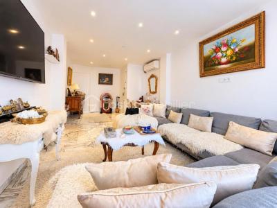Annonce Vente 3 pi�ces Appartement Saint-laurent-du-var 06