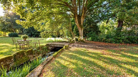 Acheter Maison 375 m2 Montreux-chateau