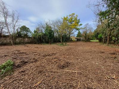 For sale Rochenard 4609 m2 Deux sevres (79270) photo 2