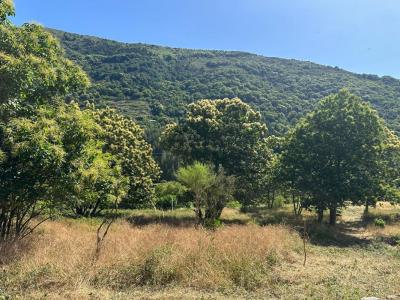 Annonce Vente Terrain Sablieres 07