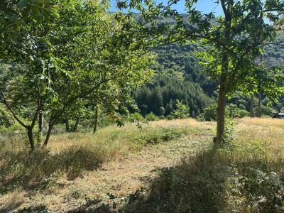 Annonce Vente Terrain Sablieres 07