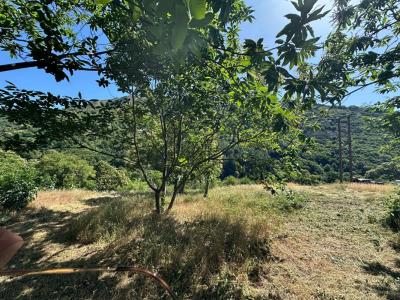 Acheter Terrain 957 m2 Sablieres