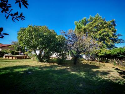 Annonce Vente 4 pi�ces Maison Dax 40