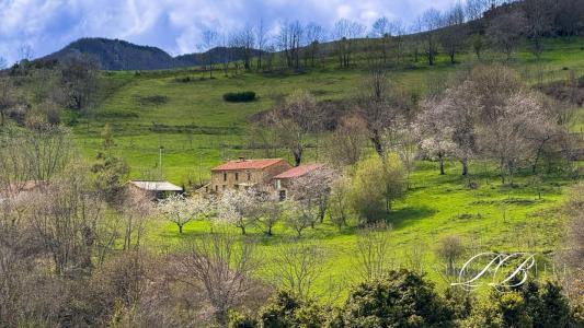 For sale Montferrer 7 rooms 203 m2 Pyrenees orientales (66150) photo 0