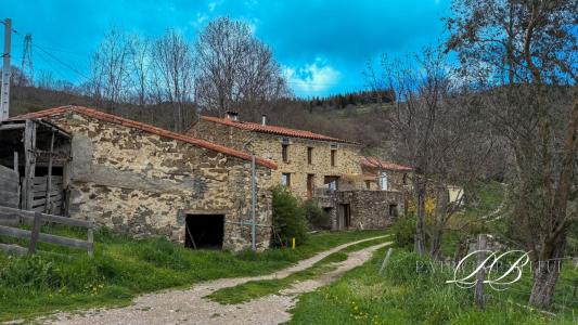 Acheter Maison 203 m2 Montferrer