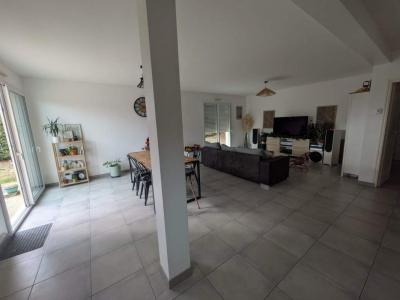 Annonce Location 5 pi�ces Maison Romagne 35