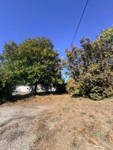 For sale Creon 431 m2 Gironde (33670) photo 1