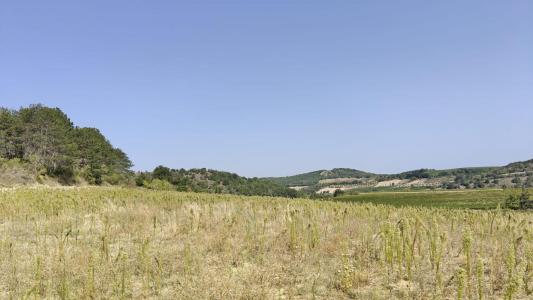 Annonce Vente Terrain Pauligne 11