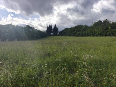For sale Belveze-du-razes 1798 m2 Aude (11240) photo 1