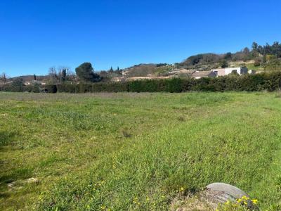 Annonce Vente Terrain Cepie 11