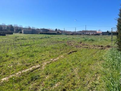 Acheter Terrain Cepie Aude