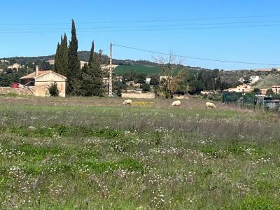 Acheter Terrain 4366 m2 Limoux