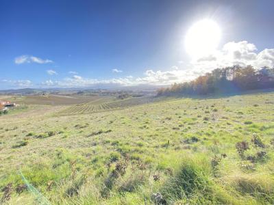 Annonce Vente Terrain Limoux 11