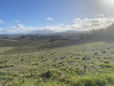 Acheter Terrain 1051 m2 Limoux