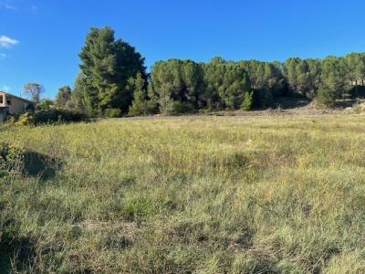 Annonce Vente Terrain Limoux 11
