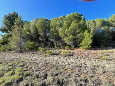 Acheter Terrain 2850 m2 Limoux